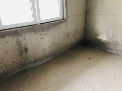 红莓谷壹号院144平方大洋房三室两厅纯毛坯因工作调动原价买原价卖寻找有缘人