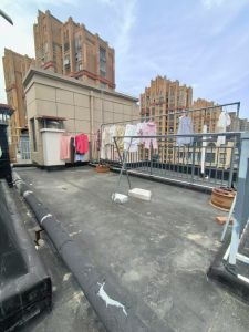 文德艺墅纯毛坯洋房顶楼加复式93平方93万